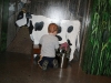 Cow milking