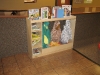 Books and Costumes