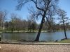 From the play equipment to the lake